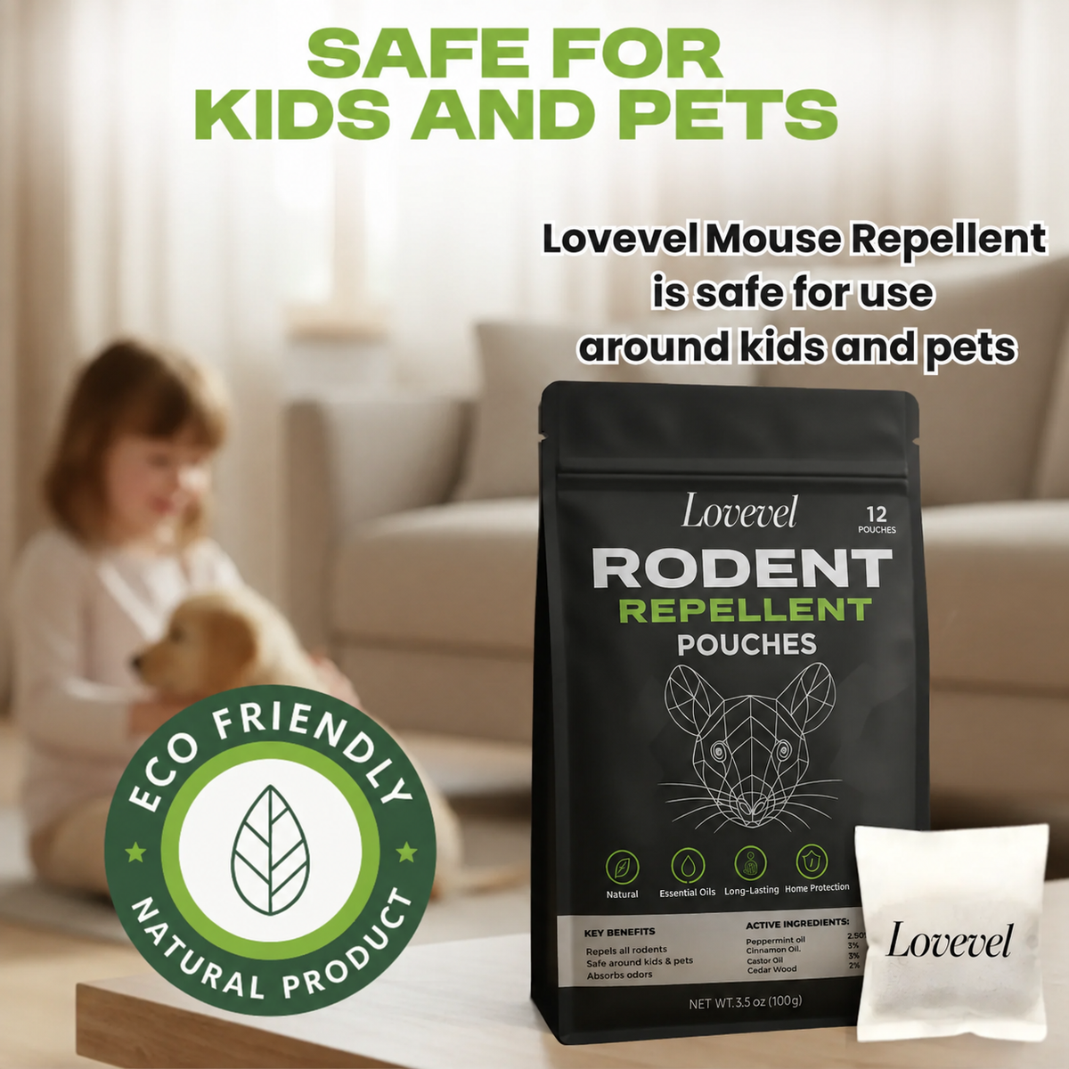 Mice Getting In? Protect Your Home Before Labor Day Weekend.